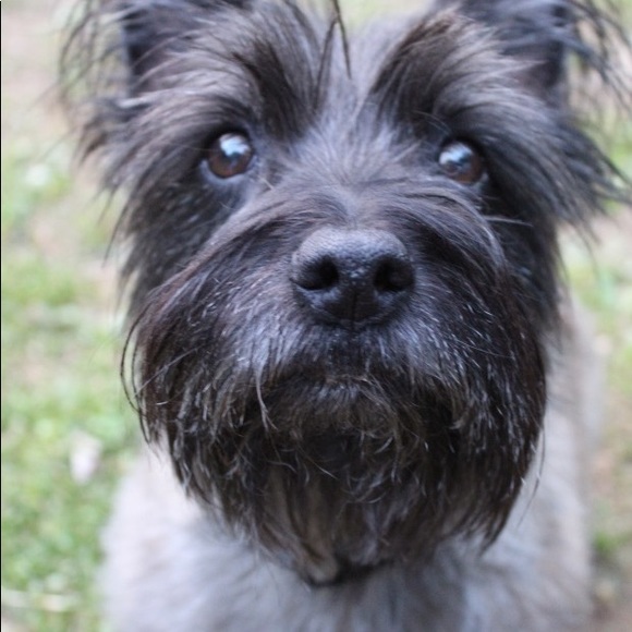 Meet your Posher, Erin - Picture 5 of 6